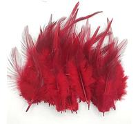 Lot de 50 plumes de coq naturelles - Environ 10 à 15 cm - Rouge - Tête de 24 plumes de queue - Plumes de queue - Pour mariage, Noël, carnaval, fête, décoration costumes naturels