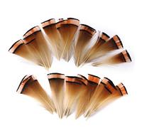 Lot de 50 plumes de faisan dorées - Couleur naturelle - 6-8 cm - Plumes douces et lisses pour décoration d'intérieur