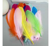 Lot de 50 plumes d'oie mélangées de 14 à 20 cm de long, pour travaux manuels, décoration, chapeaux, couture, maison, salon, bus, carnaval, naturel, noir, blanc, bleu, DM020a450, couleurs mélang