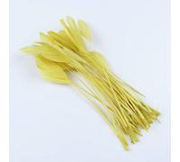 Lot de 50 plumes d'oie naturelles, accessoires pour boucles d'oreilles, plumes de cygne multicolores, 15-20 cm, pour décoration de bijoux, couleur or 02-50 pièces