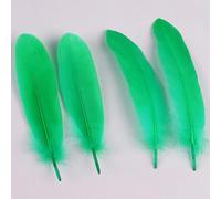Lot de 50 plumes d'oie naturelles de couleurs mélangées - 10 à 17 cm - Pour loisirs créatifs, ailes d'ange, attrape-rêves, cosplay et décoration de fête de mariage (vert gazon)