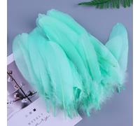 Lot de 50 plumes d'oie naturelles de couleurs mélangées, 10 à 17 cm, pour loisirs créatifs, ailes d'ange, attrape-rêves, cosplay et décoration de fête de mariage (bleu clair-vert)