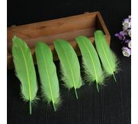 Lot de 50 plumes d'oie naturelles de couleurs mélangées, 10 à 17 cm, pour loisirs créatifs, ailes d'ange, attrape-rêves, cosplay et décoration de fête de mariage (vert pomme)