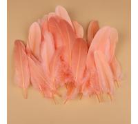 Lot de 50 plumes d'oie naturelles de couleurs mélangées - 10 à 17 cm - Pour loisirs créatifs, ailes d'ange, attrape-rêves, cosplay et décoration de fête de mariage (champagne foncé)