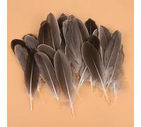 Lot de 50 plumes d'oie naturelles en vrac - 10 à 17 cm - Pour loisirs créatifs, ailes d'ange, attrape-rêves, cosplay et décoration de fête de mariage (gris naturel)