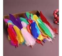 Lot de 50 plumes d'oie naturelles en vrac, 10 à 17 cm, pour loisirs créatifs, ailes d'ange, attrape-rêves, cosplay et décoration de fête de mariage (couleurs mélangées)