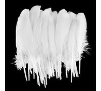 Lot de 50 plumes d'oie naturelles pour loisirs créatifs, attrape-rêves faits à la main, ailes d'ange, boîte cadeau, remplissage, décoration, 10 à 18 cm