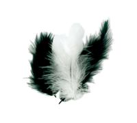 Eminza – 50 plumes d'oiseaux, camaïeu noir et blanc