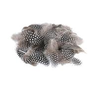 Lot de 50 plumes naturelles décoratives de Pâques, pour le bricolage, plumes de pintade, œufs de caille, marron, plumes douces, plumes naturelles, plumes de poule, plumes de coiffure, plumes pour