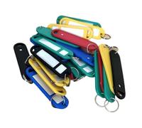 Lot de 50 porte-clés multicolores en plastique avec nom et étiquette d'identification, accessoires de classification, étiquettes de bagages Pour Étiquettes À Bagages