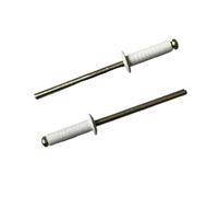 Lot de 50 rivets aveugles peints en or blanc, tête ronde creuse, aluminium et acier, for décoration intérieure, fixations industrielles, diamètre 1/8 lingli(9.6mm)