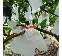 Lot de 50 sachets de protection non tissés pour protéger les pommes et les oranges