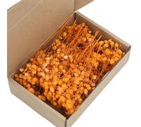 Lot de 50 tiges Florales séchées de Souffle de bébé Blanc éternel pour la décoration de Mariage et l'artisanat Fait à la Main, Fleur de gypsophile préservée