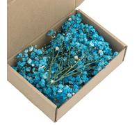 Lot de 50 tiges Florales séchées de Souffle de bébé Blanc éternel pour la décoration de Mariage et l'artisanat Fait à la Main, Fleur de gypsophile préservée