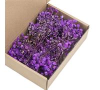 Lot de 50 tiges Florales séchées de Souffle de bébé Blanc éternel pour la décoration de Mariage et l'artisanat Fait à la Main, Fleur de gypsophile préservée