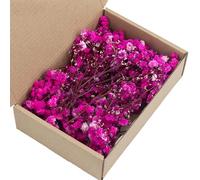 Lot de 50 tiges Florales séchées de Souffle de bébé Blanc éternel pour la décoration de Mariage et l'artisanat Fait à la Main, Fleur de gypsophile préservée