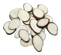 Lot de 50 tranches de noix de Tagua non polies Végétalien issu du commerce équitable Taille XL