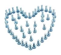 Lot de 50 vis cannelées Torx T27 M5 x 18 for tronçonneuse ST-IHL Ma-kita Dolmar Oleo-Mac, débroussailleuse 9022 340 1010