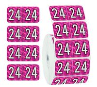Lot de 500 autocollants rectangulaires pour l'année 2024 - 1,9 x 3,8 cm - Étiquettes pour l'année 24 ans - Étiquettes rectangulaires pour décoration de fête de bureau, classification de fichiers,