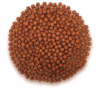 Lot de 500 perles Rudraksha 8 mm - Perles naturelles pour le Japa Mala, bijoux, bracelets, travaux manuels et artisanat - Matériau naturel pour bijoux spirituels