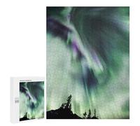 Lot de 500 puzzles pour adolescents Northern Lights in Jasper Jeu pratique mais amusant et humoristique pour anniversaire, Noël 500 pièces