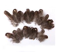 Lot de 50pcs 5-9cm Plumes de Faisan pour Artisanat Fabrication de Masque Chapeau