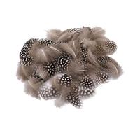 Lot de 50pcs Plume de Coq Ornement Couture Décor Vêtement Bandeau Sac Bijoux DIY 5-10cm - Nature