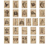 Lot De 56 Autocollants D'anatomie Humaine, Autocollants D'organes Humains Pour Fournitures Scolaires, Autocollants Imperméables En Vinyle Pour Scrapbooking, Journal Intime, Cadeau Pour Garçons,