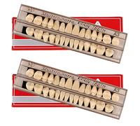 Lot de 56 fausses dents dentaires complètes en résine acrylique, 2 dents entières en polymère synthétique, 23 nuances A3, matériaux dentaires supérieurs et inférieurs pour remplacement, bricolage ou