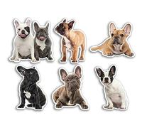 Lot de 6 autocollants en vinyle motif bouledogue français - Motif chien chiot Frenchie Nature Animaux de compagnie visage sauvage filles garçons voyage scrapbooking #80805