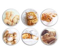 Lot de 6 autocollants en vinyle motif chat roux de 10 cm - Animaux animaux de compagnie duveteux chaton endormi garçons filles enfants scrapbooking maison cadeau #78992