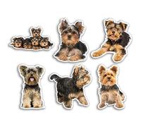 Lot de 6 autocollants en vinyle Yorkshire Terrier de 10 cm - Motif chien yorkshire chiot animal nature animaux animaux sauvages filles garçons voyage scrapbooking #80813