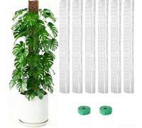 Lot de 6 bâtons de mousse en plastique de 61 cm avec profil circulaire pour intérieur pour plantes grimpantes nécessitant un guidage vertical