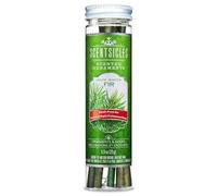 Lot de 6 bâtons de parfum Scentsicles