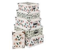 Lot de 6 Boîtes "Le Collectionneur" 48cm Multicolore