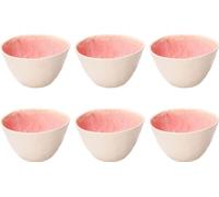 Lot de 6 bols Concerto FUSE ROSA 12 cm Rose & Tulipe