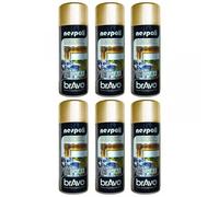 Lot De 6 Bombes De Peinture Professionnelle Nespoli - Chrome Or