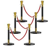 Lot de 6 bornes de 15,2 cm en acier inoxydable avec corde de lit de 1,5 m pour événements et activités en plein air