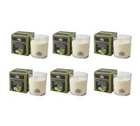 Lot de 6 bougies parfumées en cire végétale - Fabriqué en Italie - Aromathérapie - Bergamote - Stimulant - Durée 44 heures - Cereria Di Giorgio