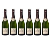 Lot de 6 Bouteilles de Champagne PRESTIGE Brut - Joël CLOSSON® - DIRECT PRODUCTEUR