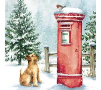 Lot de 6 cartes de Noël caritatives - Alzheimers, Shelter, Multiple Sclerosis Society, CLIC Sargent and Age UK - Chien, rouge-gorge et boîte aux lettres - Design artistique festif - Respectueux de