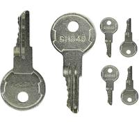 Lot de 6 clés CH545 compatibles avec camions, remorques, camping-cars, boîtes à outils, armoires de sécurité, serrures à poignée à palette