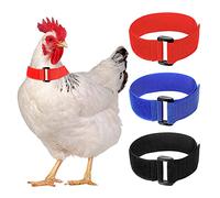 Lot de 6 colliers anti-corbeau en nylon pour empêcher les poules de crier et de déranger les voisins
