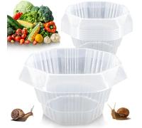 Lot de 6 colliers anti-limaces et escargots sans produits chimiques - En plastique - Réutilisables - Pour salade, chou, légumes (B)