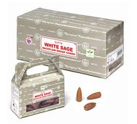 Lot de 6 cônes à refoulement Satya - Boîte de 24 pièces/Sauge Blanche