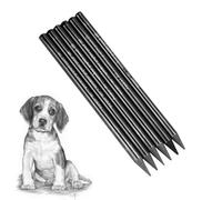 Lot de 6 crayons graphite noirs sans bois Dureté totale HB 2B 4B 6B 8B EE Fournitures scolaires crayon fusain pour croquis dessin ombrage crayons à charbon pour professionnels artistes etudiants