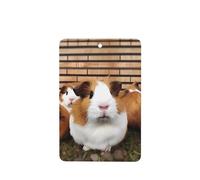 Lot de 6 désodorisants amusants à suspendre pour voiture, cochons d'Inde, mignons et durables, parfumés à suspendre, ornements, cadeaux, accessoires de décoration d'intérieur pour homme et femme