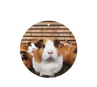 Lot de 6 désodorisants amusants à suspendre pour voiture, cochons d'Inde, mignons et durables, parfumés à suspendre, ornements, cadeaux, accessoires de décoration d'intérieur pour homme et femme