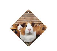 Lot de 6 désodorisants amusants à suspendre pour voiture, cochons d'Inde, mignons et durables, parfumés à suspendre, ornements, cadeaux, accessoires de décoration d'intérieur pour homme et femme