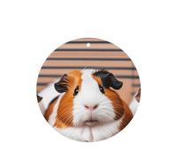 Lot de 6 désodorisants amusants à suspendre pour voiture, cochons d'Inde, mignons et durables, parfumés à suspendre, ornements, cadeaux, accessoires de décoration d'intérieur pour homme et femme